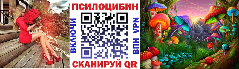 Псилоцибиновые грибы Psilocybine cubensis  МЕГА как зайти  Печоры 